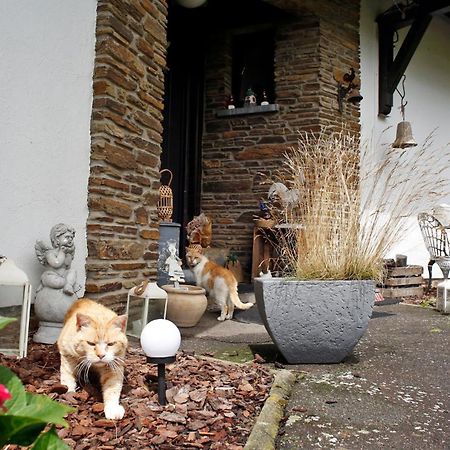 B&B Au Coq En Pate Jalhay Zewnętrze zdjęcie
