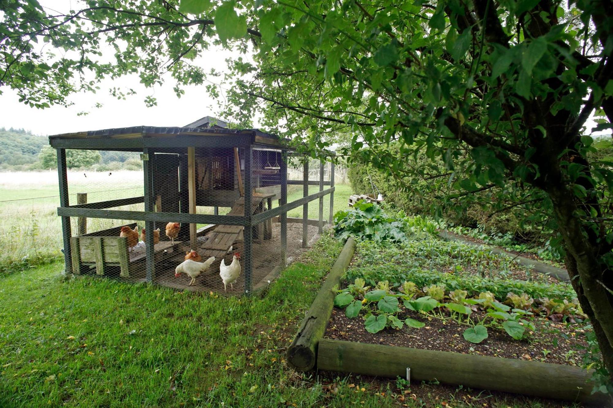 B&B Au Coq En Pate Jalhay Zewnętrze zdjęcie